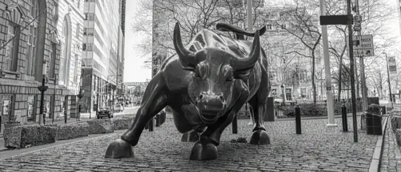A Victim's Guide to Ponzi Schemes Attorneys